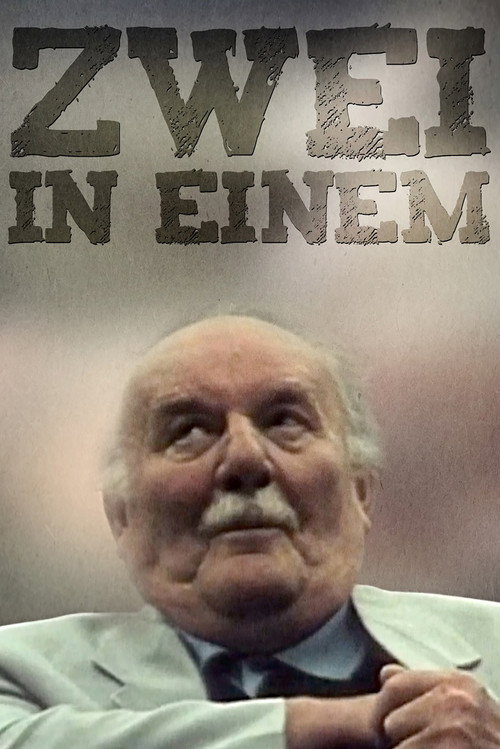 Movie poster for Two in One (2001)