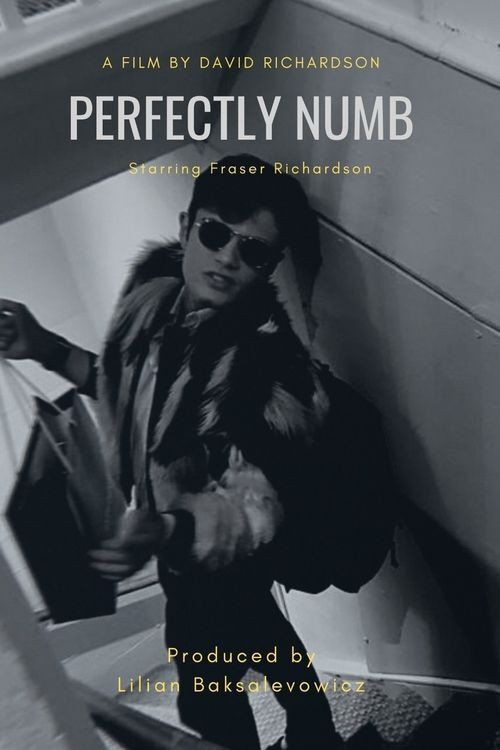 Movie poster for Perfectly Numb (2021)