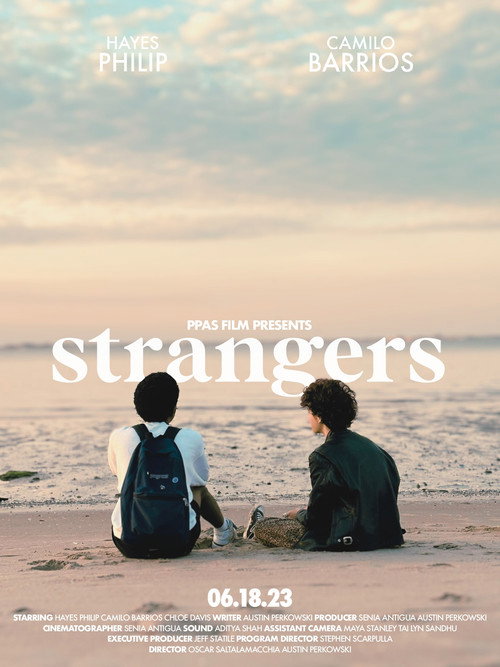 Movie poster for Strangers