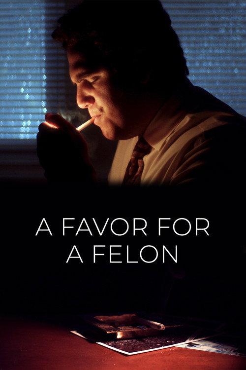 Movie poster for A Favor for a Felon (2022)