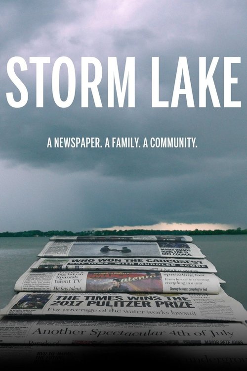 Movie poster for Storm Lake (2021)