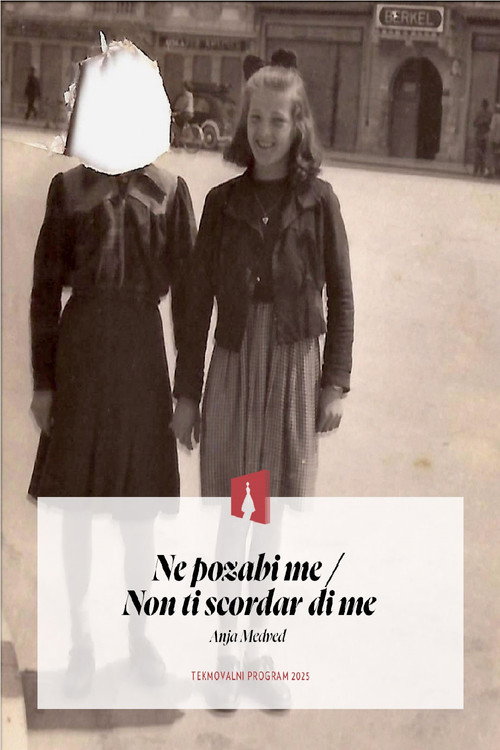 Movie poster for Forget Me Not (2025)