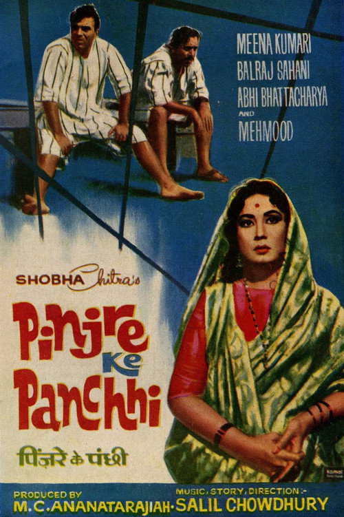 Movie poster for Pinjre Ke Panchhi (1966)