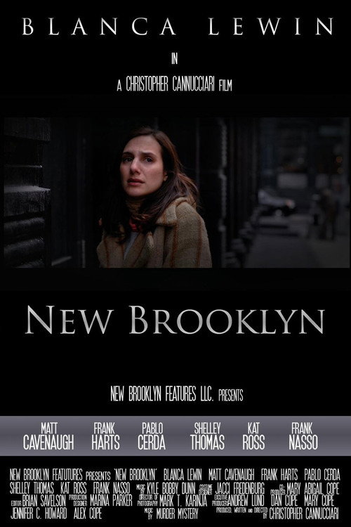 Movie poster for New Brooklyn (2009)