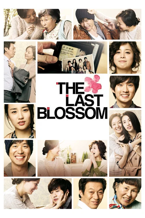 Movie poster for The Last Blossom (2011)