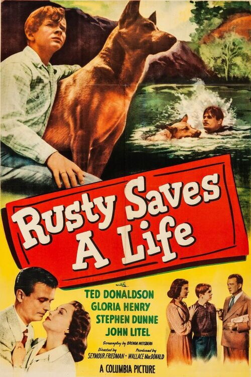 Movie poster for Rusty Saves a Life (1949)
