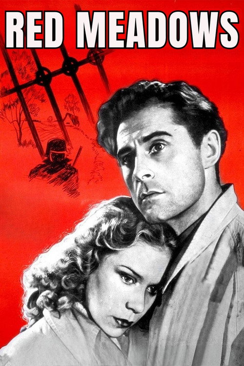 Movie poster for Red Meadows (1945)