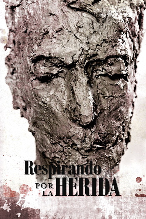 Movie poster for Respirando por la herida (2013)