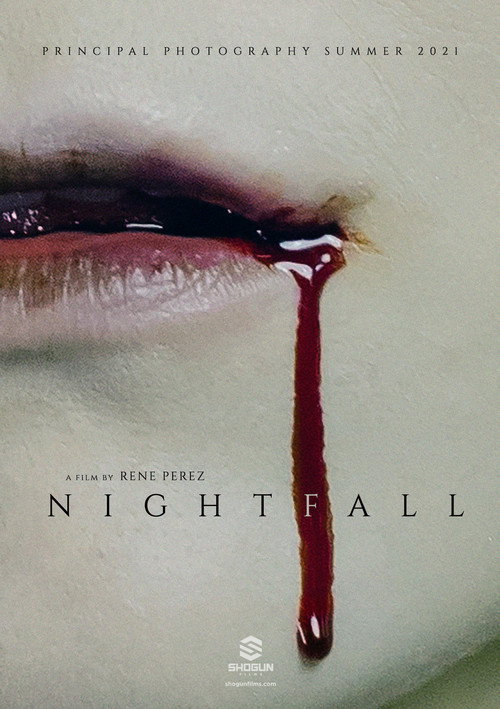 Movie poster for Nightfall