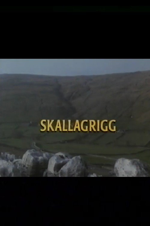 Movie poster for Skallagrigg (1994)