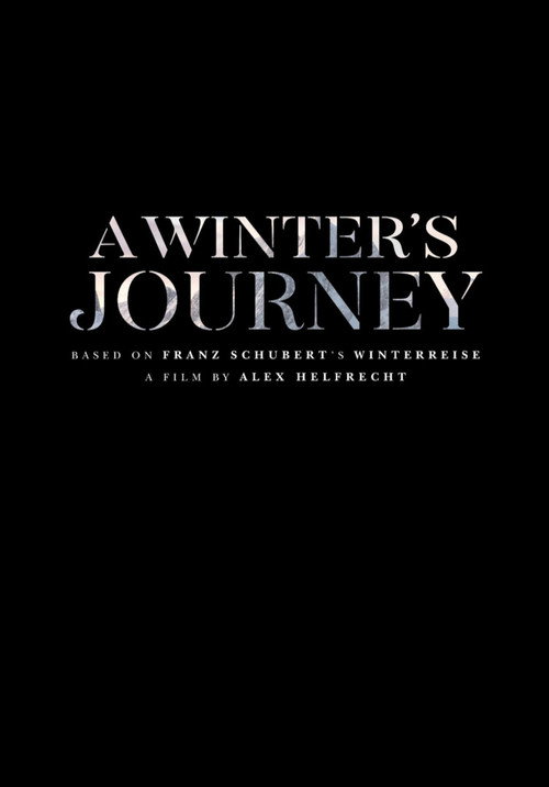 Movie poster for A Winter's Journey