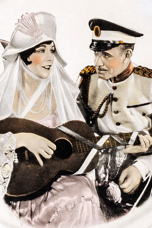 Movie poster for The Lady Who Lied (1925)