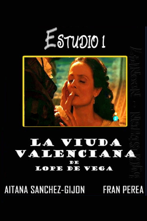Movie poster for The Widow from Valencia (2010)