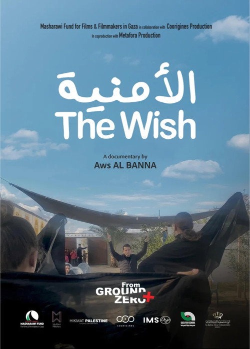 Movie poster for The Wish (2025)