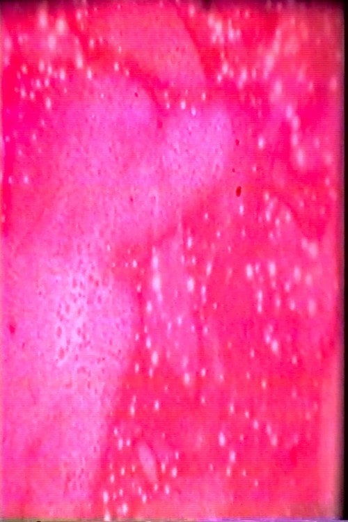 Movie poster for Space Cat (1999)