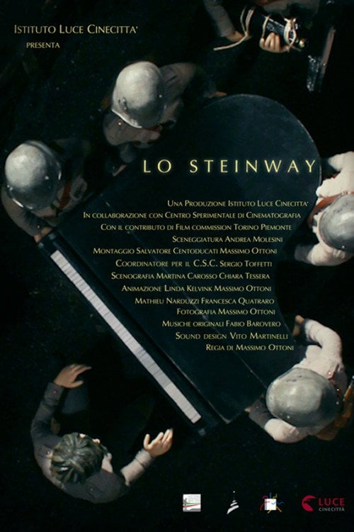 Movie poster for Lo Steinway (2016)