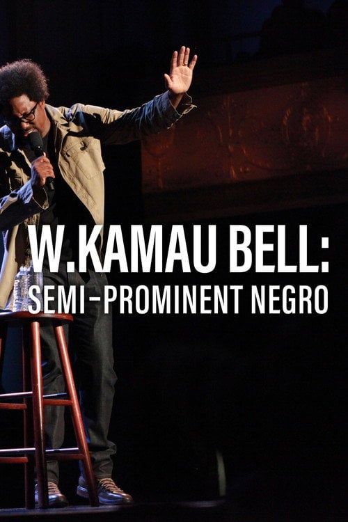 Movie poster for W. Kamau Bell: Semi-Prominent Negro (2016)