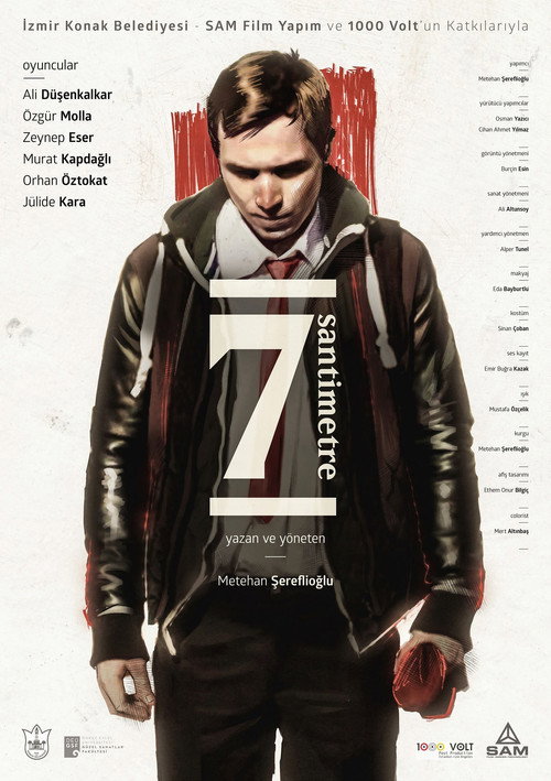 Movie poster for 7 Centimeters (2016)