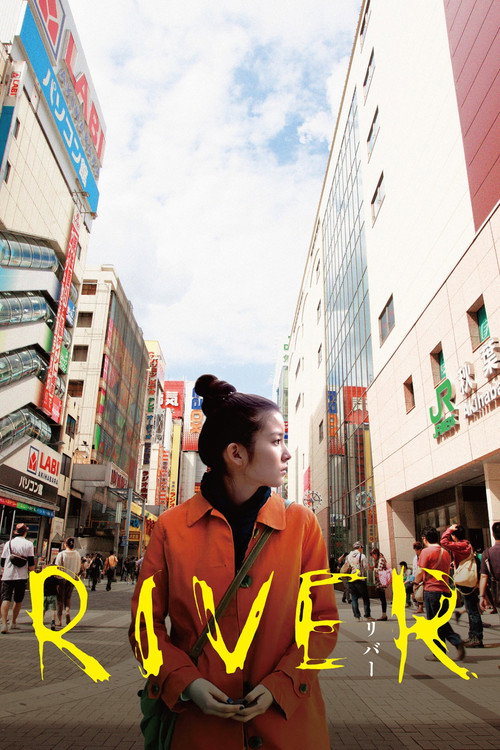 Movie poster for River (2011)