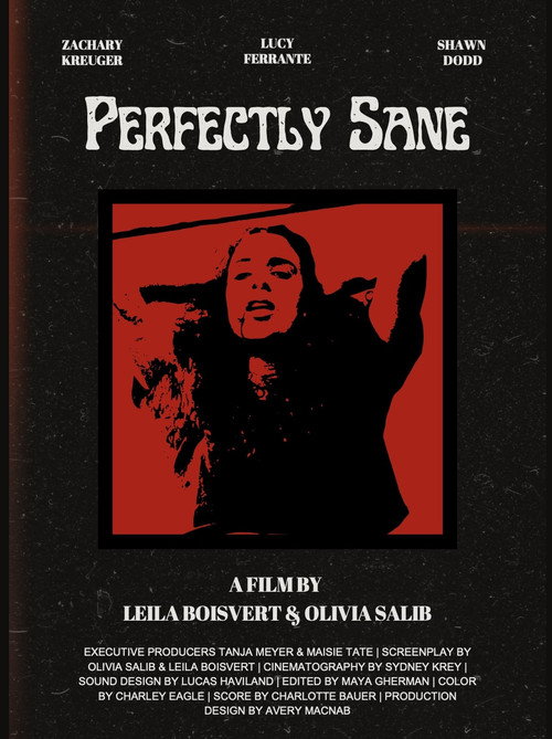 Movie poster for Perfectly Sane