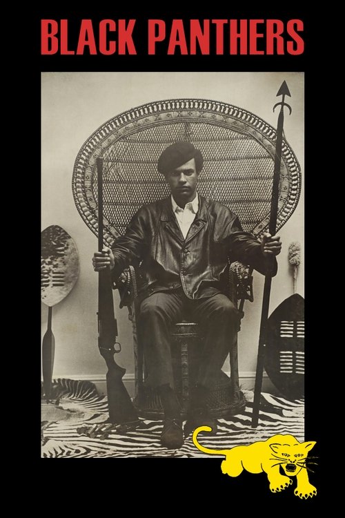 Movie poster for Black Panthers (1968)