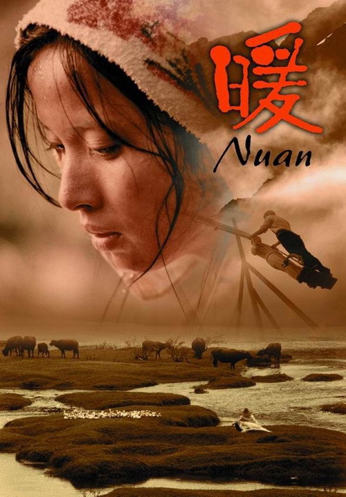 Movie poster for Nuan (2004)
