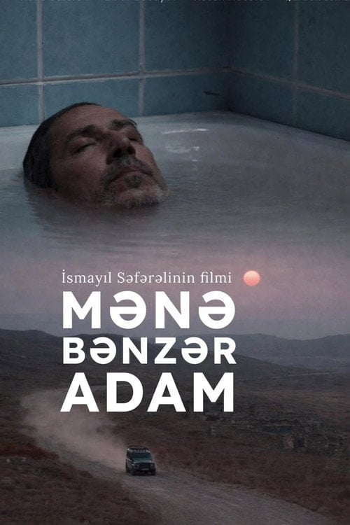 Movie poster for Mənə Bənzər Adam