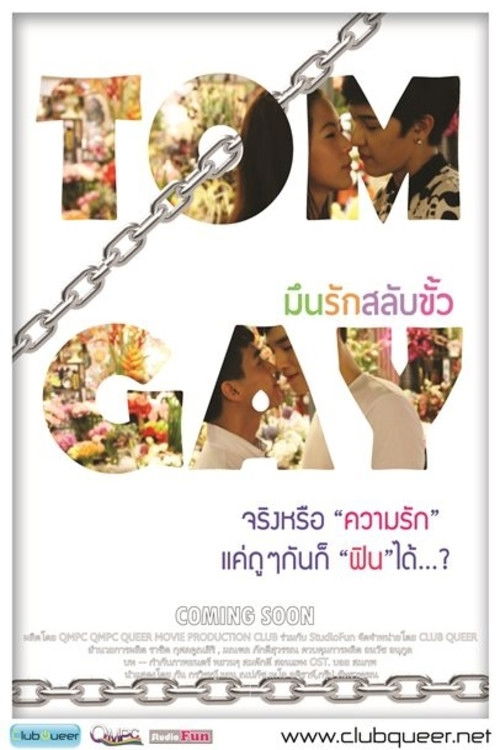 Movie poster for Tom Gay (2013)