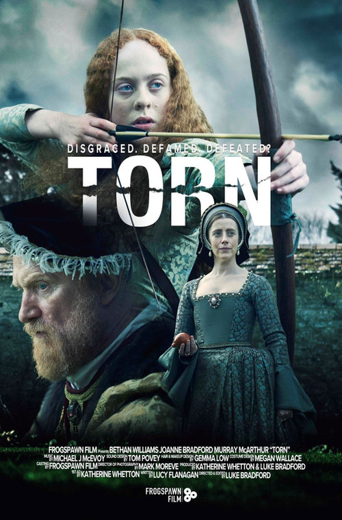 Movie poster for Torn