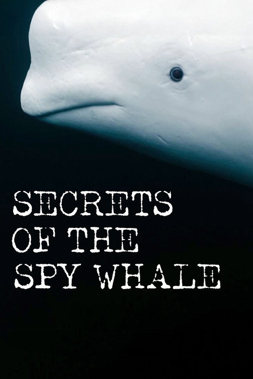 Movie poster for Secrets of the Spy Whale (2024)