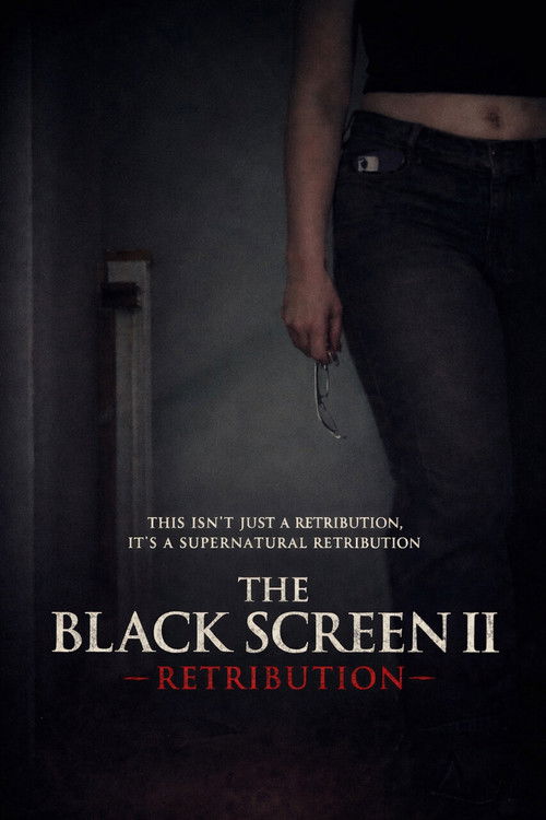 Movie poster for The Black Screen II - Retribution (2024)