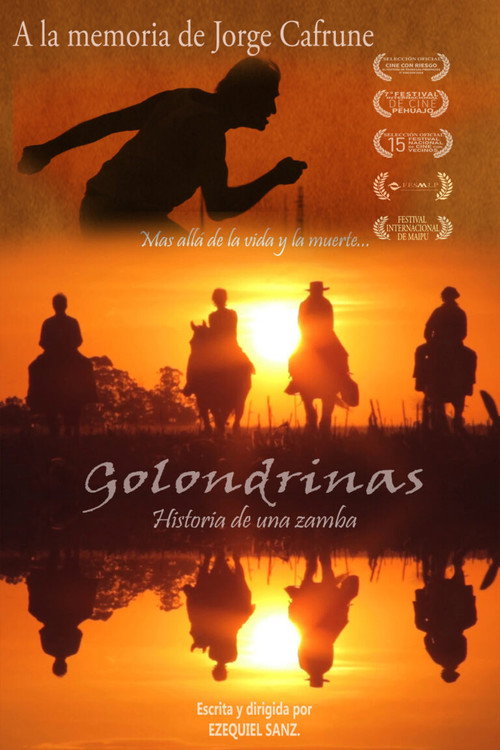 Movie poster for Golondrinas, historia de una zamba (2022)