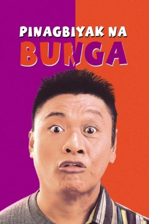 Movie poster for Pinagbiyak Na Bunga: Lookalayk (1994)
