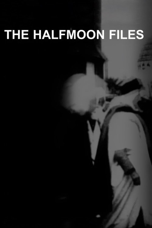 Movie poster for The Halfmoon Files (2007)