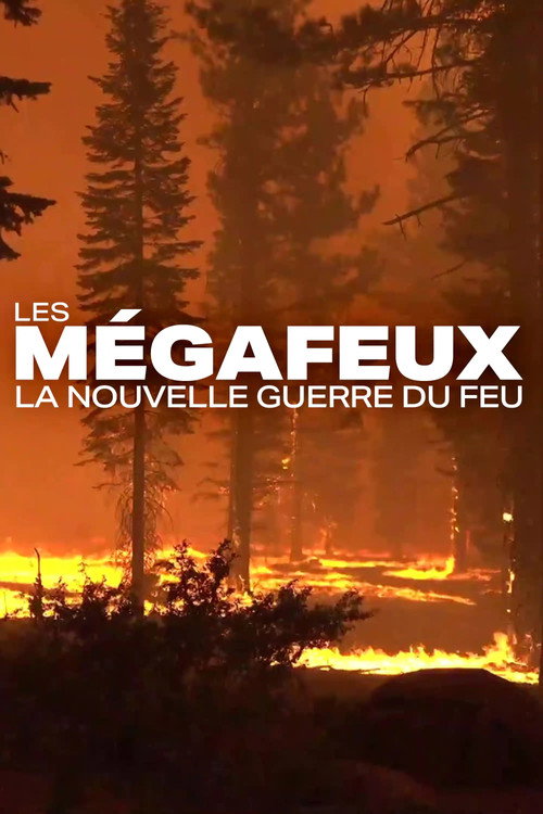Movie poster for Les Mégafeux, la nouvelle guerre du feu (2022)