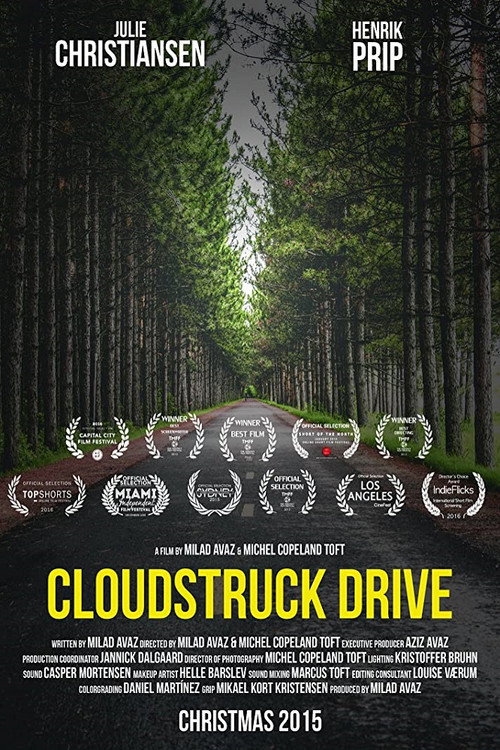 Movie poster for Cloudstruck Drive (2015)