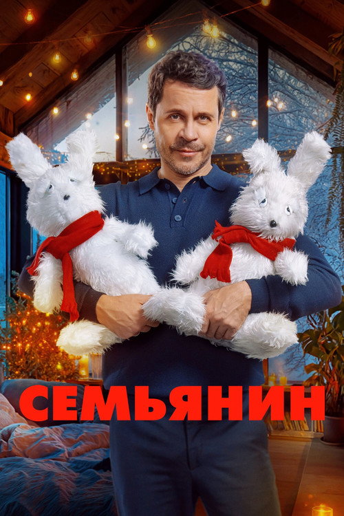 Movie poster for The Family Man (2025)