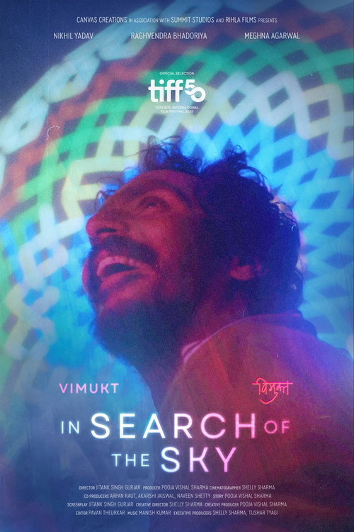 Movie poster for In Search of The Sky (2025)