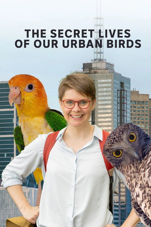 The Secret Lives of Our Urban Birds poster