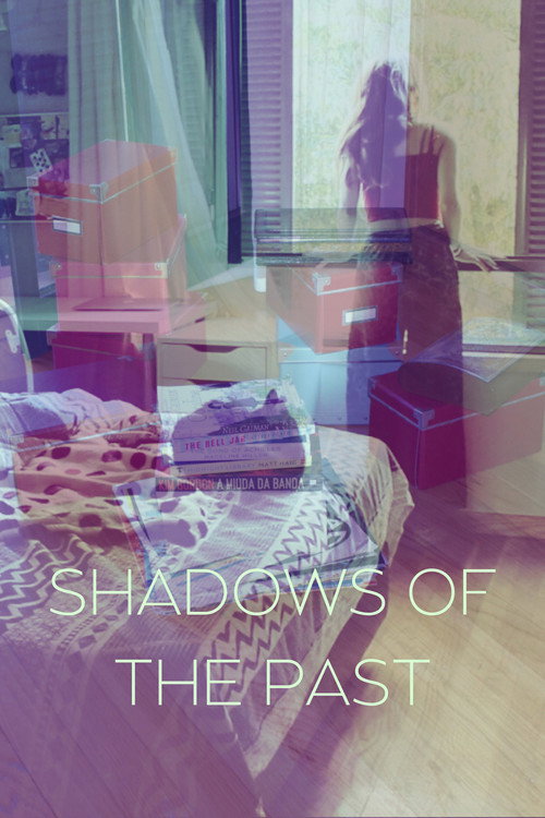 Movie poster for Shadows of the Past (2024)