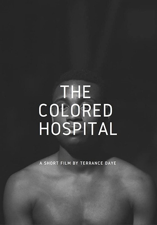 Movie poster for The Colored Hospital: A Visual Poem (2017)