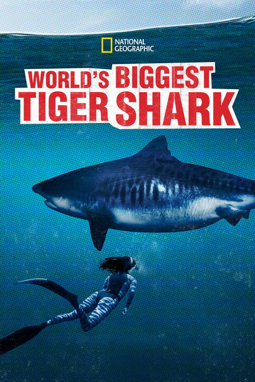 Movie poster for World's Biggest Tiger Shark (2020)
