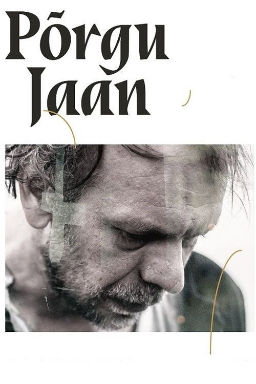 Movie poster for The Riddle of Jaan Niemand (2018)