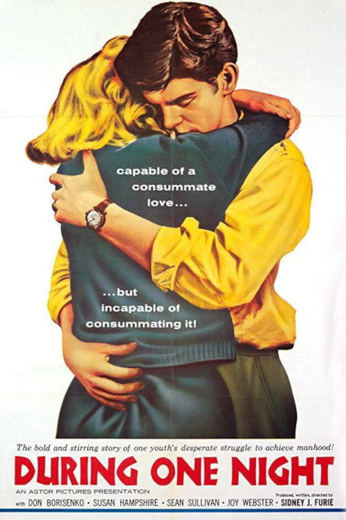 Movie poster for During One Night (1961)