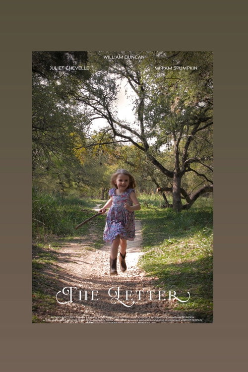 Movie poster for The Letter (2020)