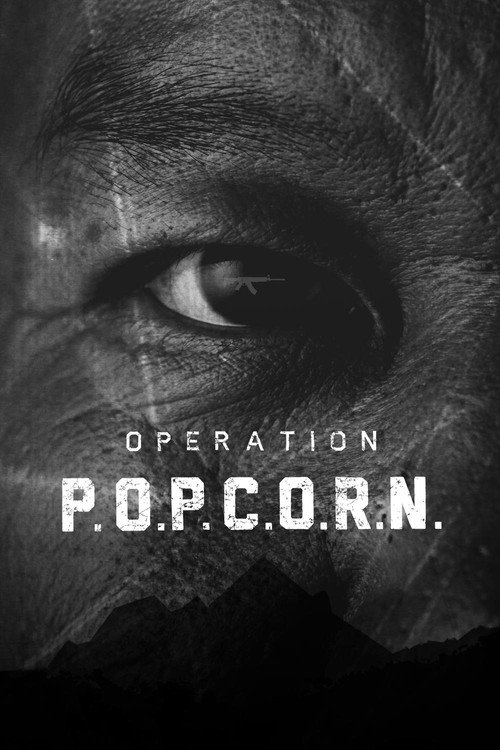 Movie poster for Operation Popcorn (2015)