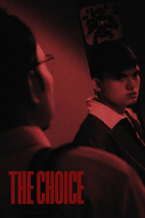 Movie poster for The Choice (2025)