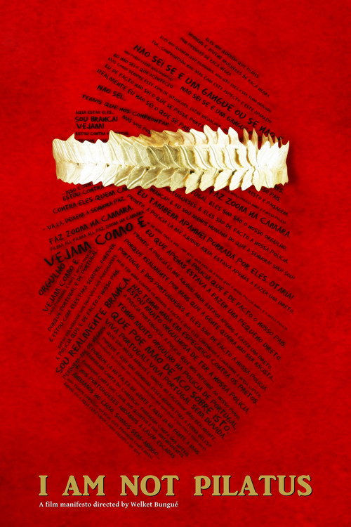 Movie poster for I Am Not Pilatus (2019)