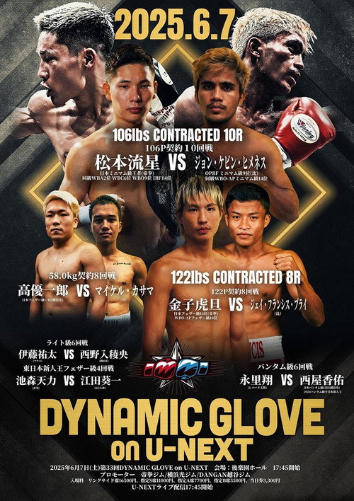 Movie poster for DYNAMIC GLOVE on U-NEXT vol.33