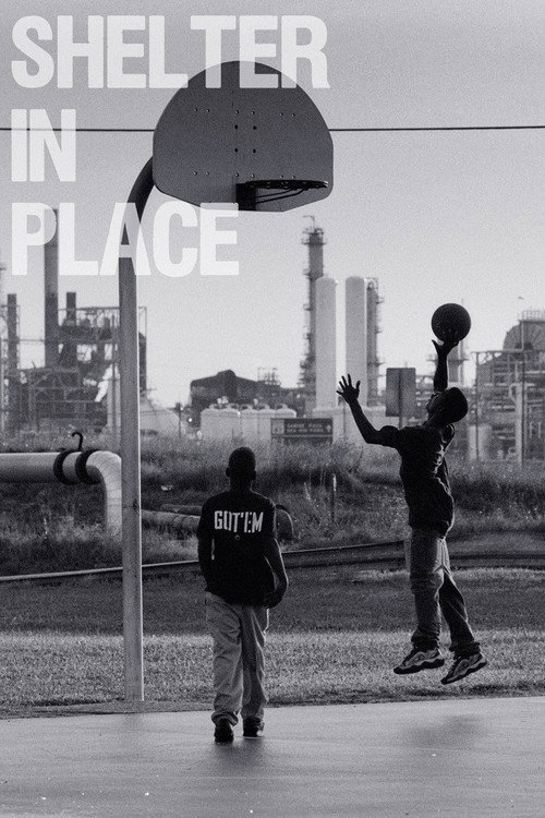 Movie poster for Shelter in Place (2009)